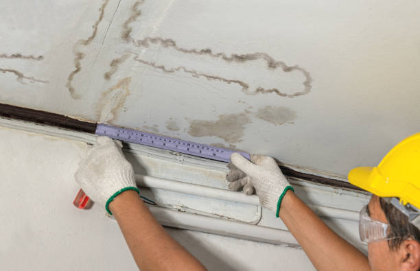 24/7 Emergency Structural Drying experts in Purdon, TX