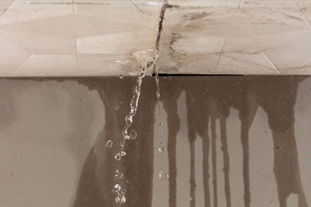Professional Structural Drying technician working in Purdon, TX